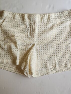 Ann Taylor LOFT Eyelet Lace Shorts.